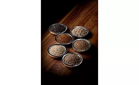 Saltworks Launches New Smoked Salts Using Proprietary Perfect Smoke Technology