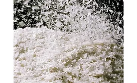 FLEXIBLE FLAKES PROVIDE HEALTHIER OPTIONS FOR FOOD MANUFACTURERS KRONER-STARKE