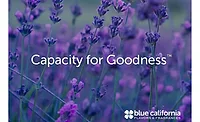 Blue California to start production of new nature-based bitter blocker technology