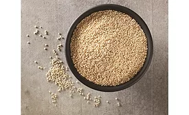 InHarvest announces new domestic white quinoa for foodservice