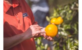 Kerry unveils unique citrus extract technology