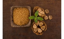 Ingredients by Nature launches MonkFiber ingredient