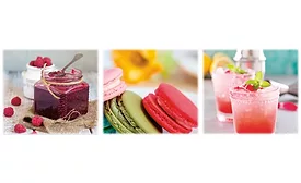 Batory Foods introduces line of interchangeable, high-intensity sweetener blends for convenient sugar replacement