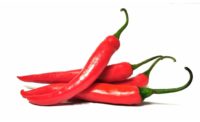 Conagen develops sustainable capsaicin and related capsaicinoids