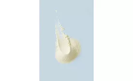 NZMP new dairy ingredients
