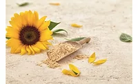 Sunflower lecithin from Sternchemie granted GRAS No-Objection Letter by FDA Sunflower lecithin from Sternchemie granted GRAS No-Objection Letter by FDA