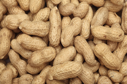 Peanuts Feature Image