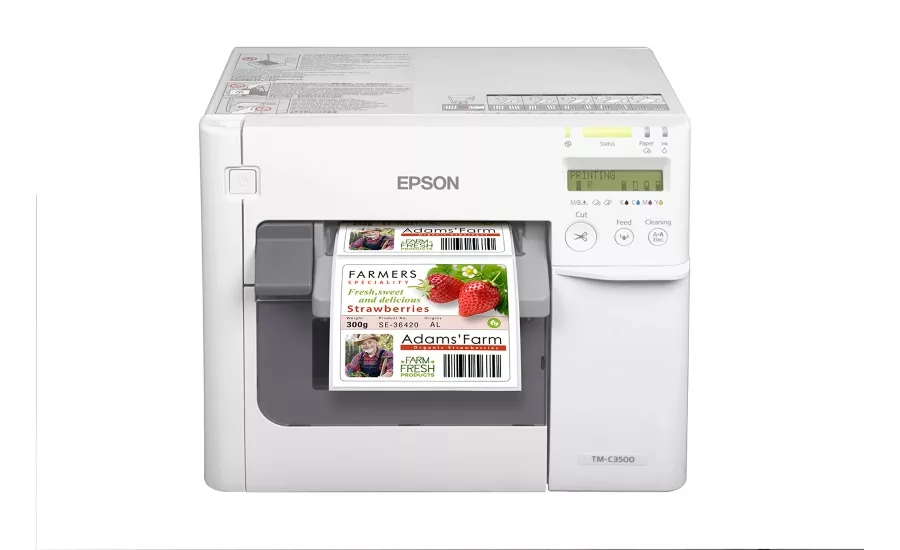 Epson C3500 printer