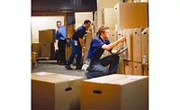 Dynamic Systems Inc. Advanced Checkmate Mobile Dynamic Systems Inc. Advanced Checkmate Mobile