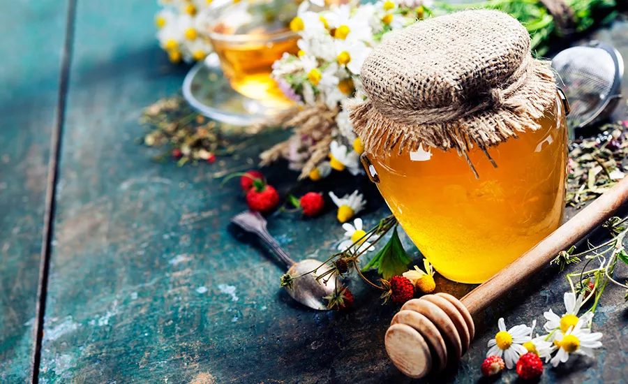 Honey Editors Summit 2016