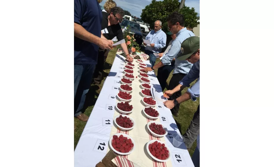 raspberry harvest tour