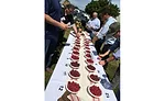 raspberry harvest tour