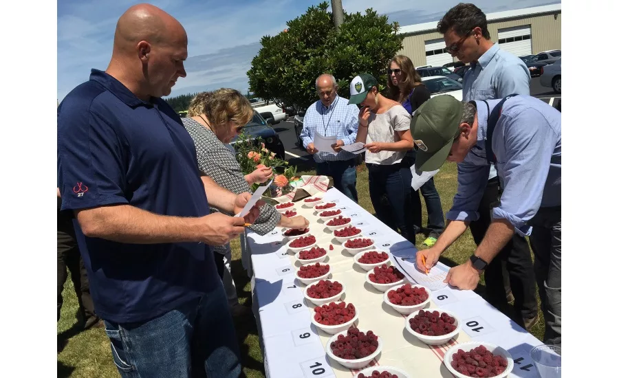 raspberry harvest tour