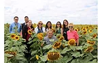 Sunflower field, Bismarck, ND