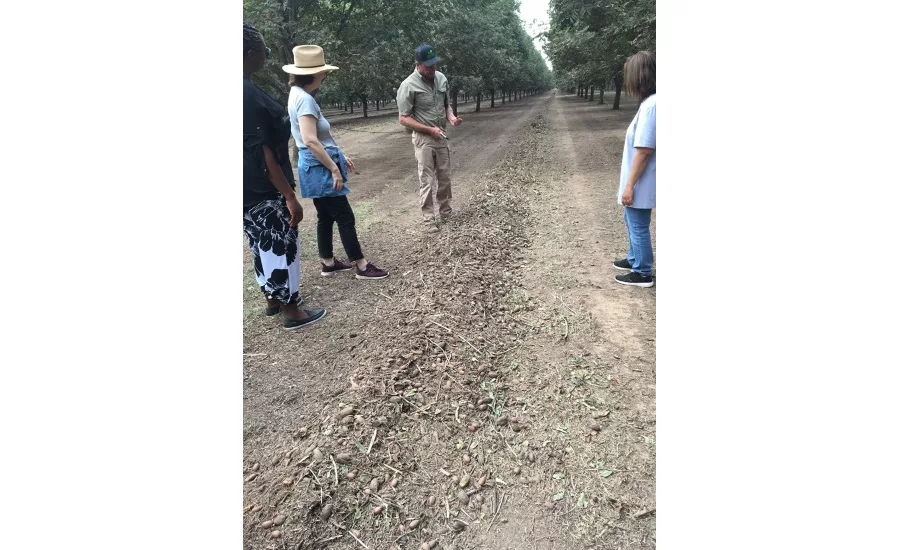 Texas Pecan Board trip 2019