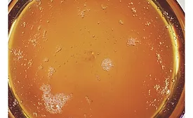 CIFI sweet potato ingredient