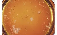 CIFI sweet potato ingredient CIFI sweet potato ingredient