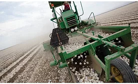 Olam onion harvester