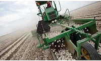 Olam onion harvester Olam onion harvester