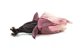 Purple Corn