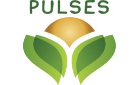 Pulses packaged products