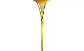 Malaysian palm oil