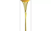 Malaysian palm oil