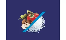 Salt of the Earth supplier