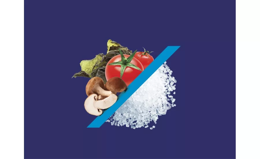 Salt of the Earth supplier