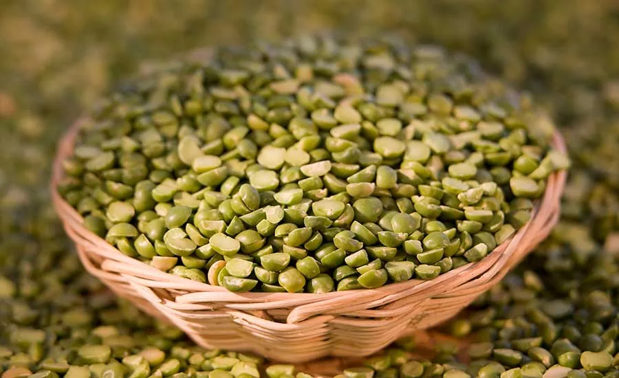James Cameron invests in pea processing plant in Saskatchewan