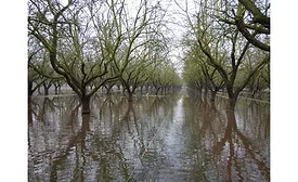 Groundwater recharge