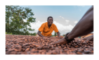 Barry Callebaut cocoa sustainability