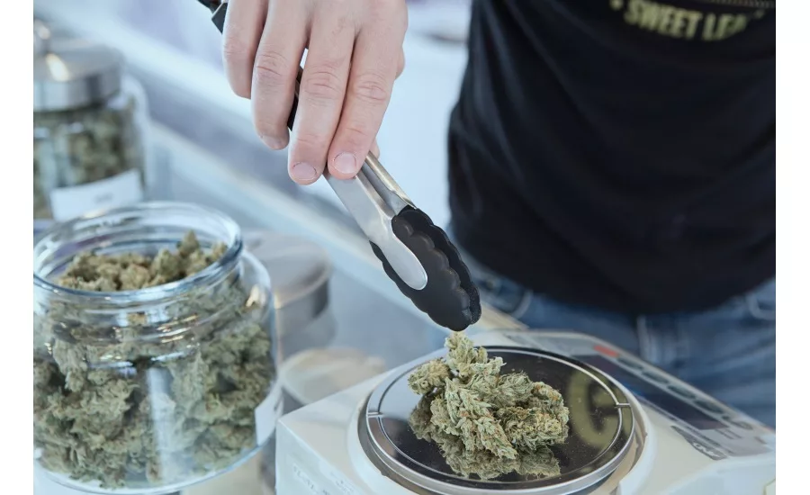 New Study Identifies Consumer Interest in Food and Beverage Products Made with Cannabis Ingredients