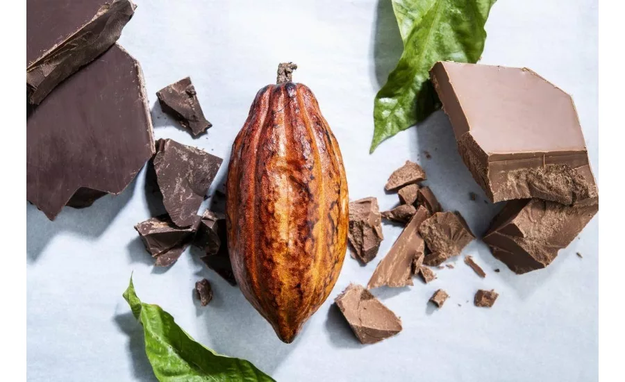 Sharing Barry Callebauts knowledge with industry to improve carbon reduction goals in the cocoa supply chain