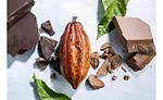 Sharing Barry Callebauts knowledge with industry to improve carbon reduction goals in the cocoa supply chain