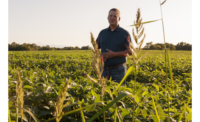 Kellogg grand expands Illinois Conservation Program supporting farmers to adapt to climate change, reduce greenhouse gas emissions