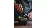 Report reveals how COVID-19 affects the foodservice industry