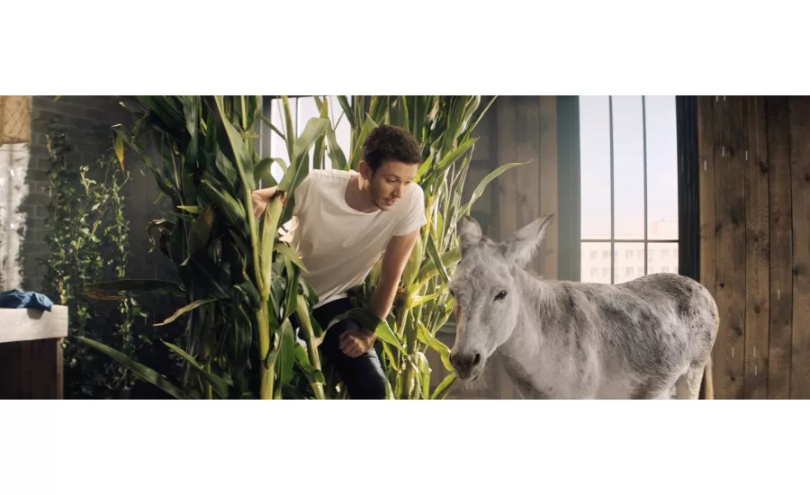 Farm Rich Launches New Ad Campaign - Promotes Snack Individuality