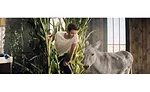 Farm Rich Launches New Ad Campaign - Promotes Snack Individuality