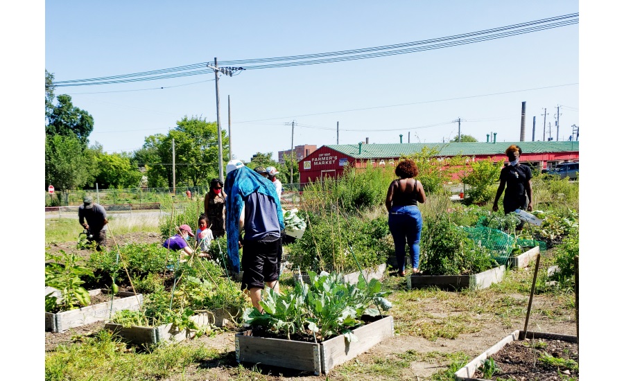 Natures Path Gardens for Good Program announces winners, adds 22nd grant