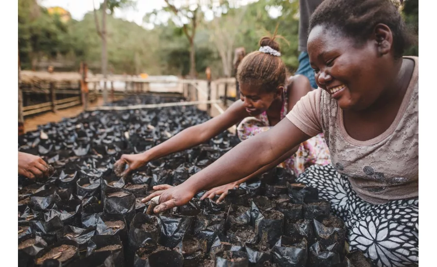 tentree debuts month-long planting campaign with Wilson Sporting Goods, Natures Path, and more