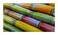 Barry Callebaut joins Bonsucro Barry Callebaut joins Bonsucro