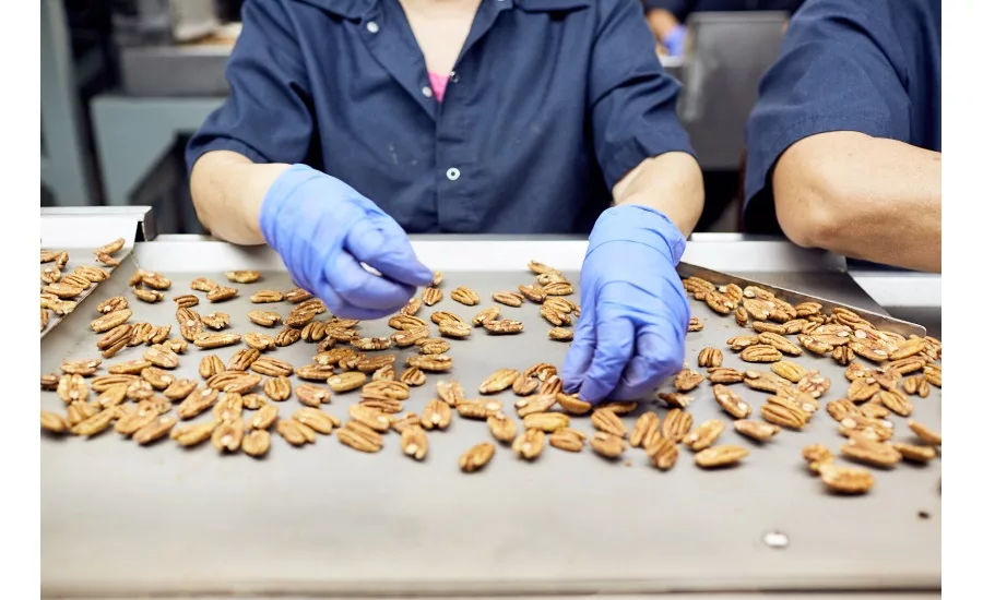 American pecans