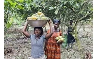 Barry Callebaut establishes 100 percent traceability for cocoa supply chain, Ivory Coast and Ghana