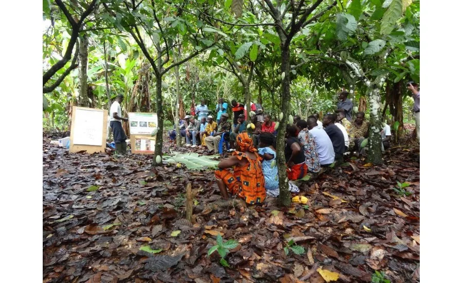 Barry Callebaut establishes 100 percent traceability for cocoa supply chain, Ivory Coast and Ghana