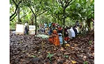 Barry Callebaut establishes 100 percent traceability for cocoa supply chain, Ivory Coast and Ghana