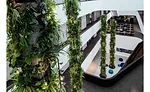 Givaudan and Bühler partner to fast-track market access and innovation for start-ups