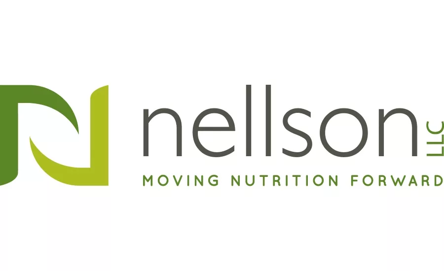 Nelson, LLC recognizes three key executives