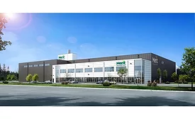 Merit Functional Foods partners with Bunge to bring pea and canola protein to market