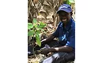 Guittard Chocolate Company adds Cultivate Better Cocoa Partner Program to sustainability initiative